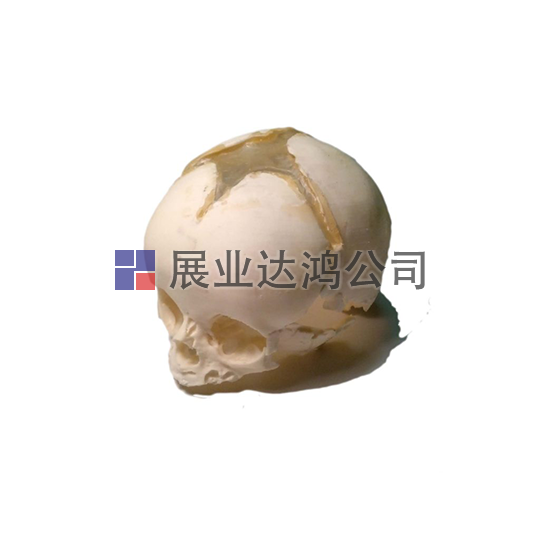 <b>英國PI 新生兒頭骨模體</b>