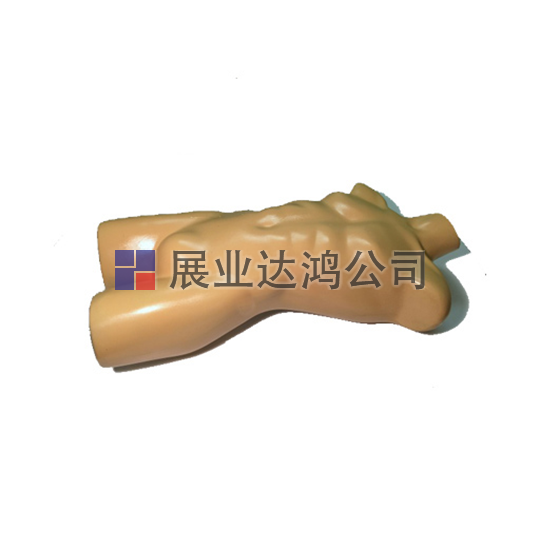 <b>英國PI 仿真人體軀干模體</b>