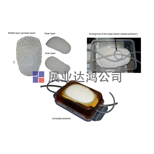 <b>英國PI  經(jīng)顱模體</b>