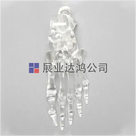 SAWBONES 足部骨骼解剖透明模型1701-90-1