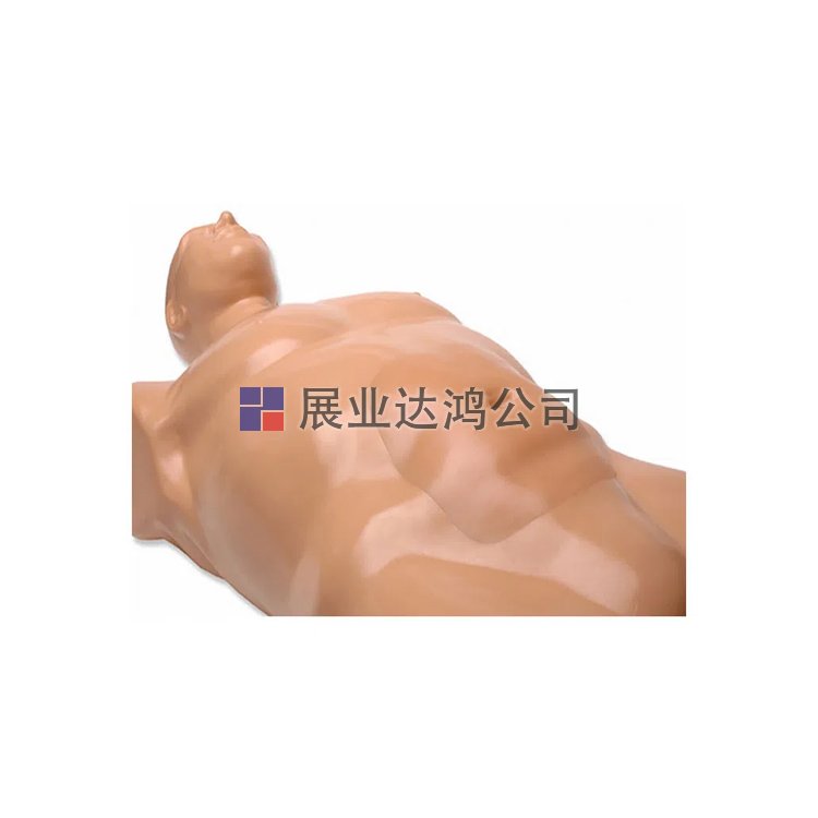 <b>CAE BPAAA1500腹主動脈瘤超聲訓(xùn)練模型-展業(yè)達(dá)鴻代理</b>