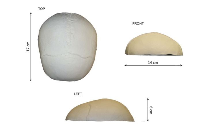 英國PI 顱骨模體