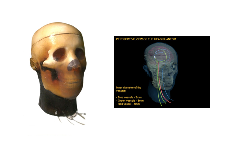 英國PI 標準成人男性頭部模體