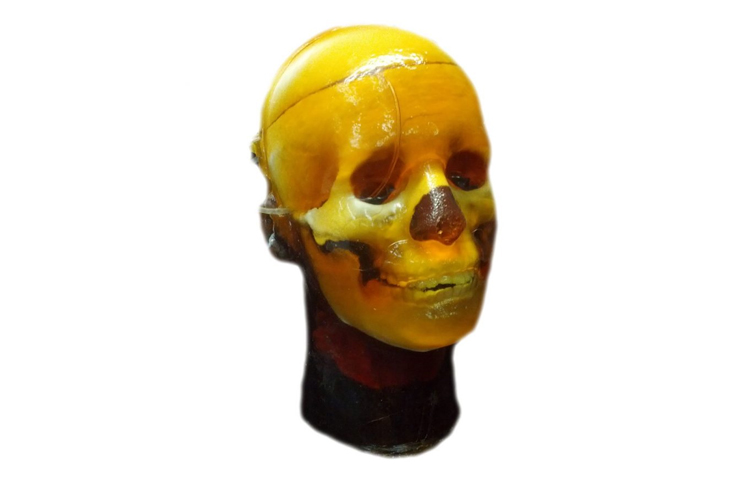 英國(guó)PI 頭部模體