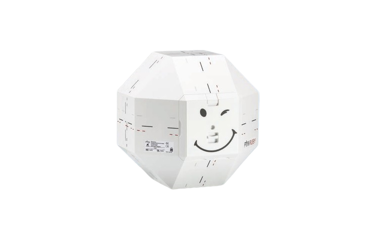 德國PTW RUBY模體