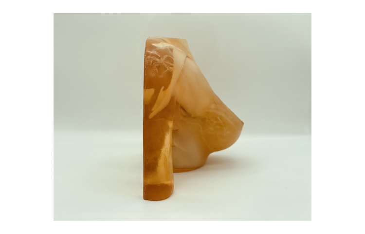 加拿大Truephantom女性成人乳房模體