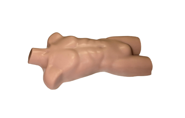 加拿大Truephantom成人軀干模體