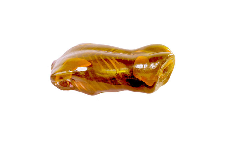 加拿大Truephantom成人FAST軀干模體