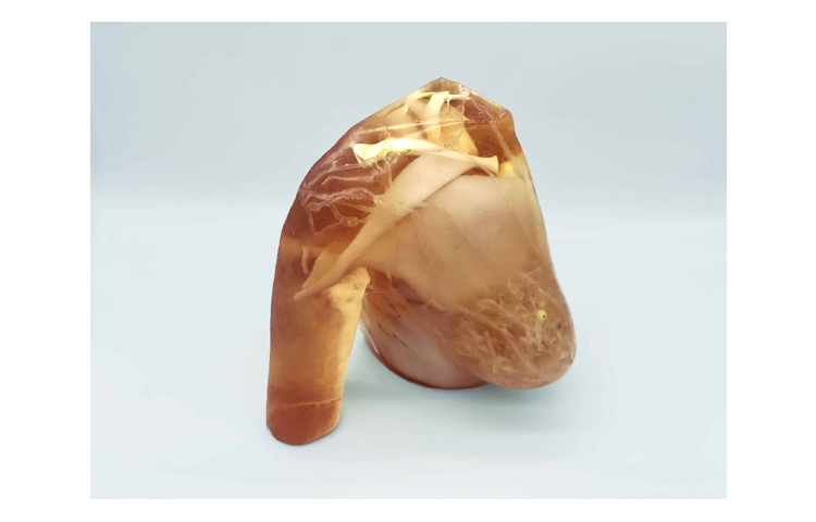 加拿大Truephantom x射線成人乳房模體