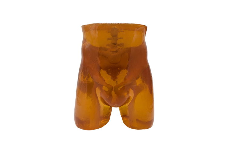 加拿大Truephantom成人骨盆模體