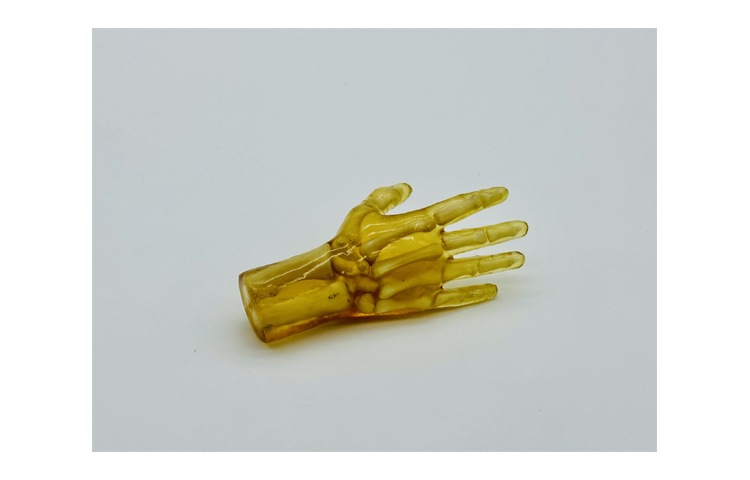 加拿大Truephantom兒童手部模體