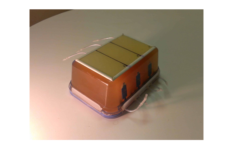 加拿大Truephantom多普勒模體