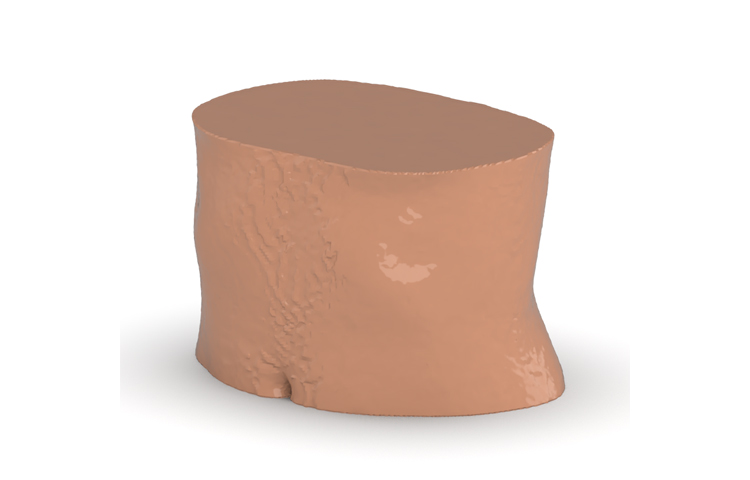 德國phantomx 53-01腹部動(dòng)脈模體