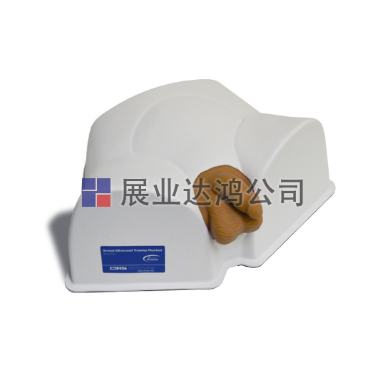 <b>CIRS 504A陰囊超聲訓(xùn)練體模</b>